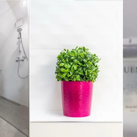 Victus Apartament Lila *